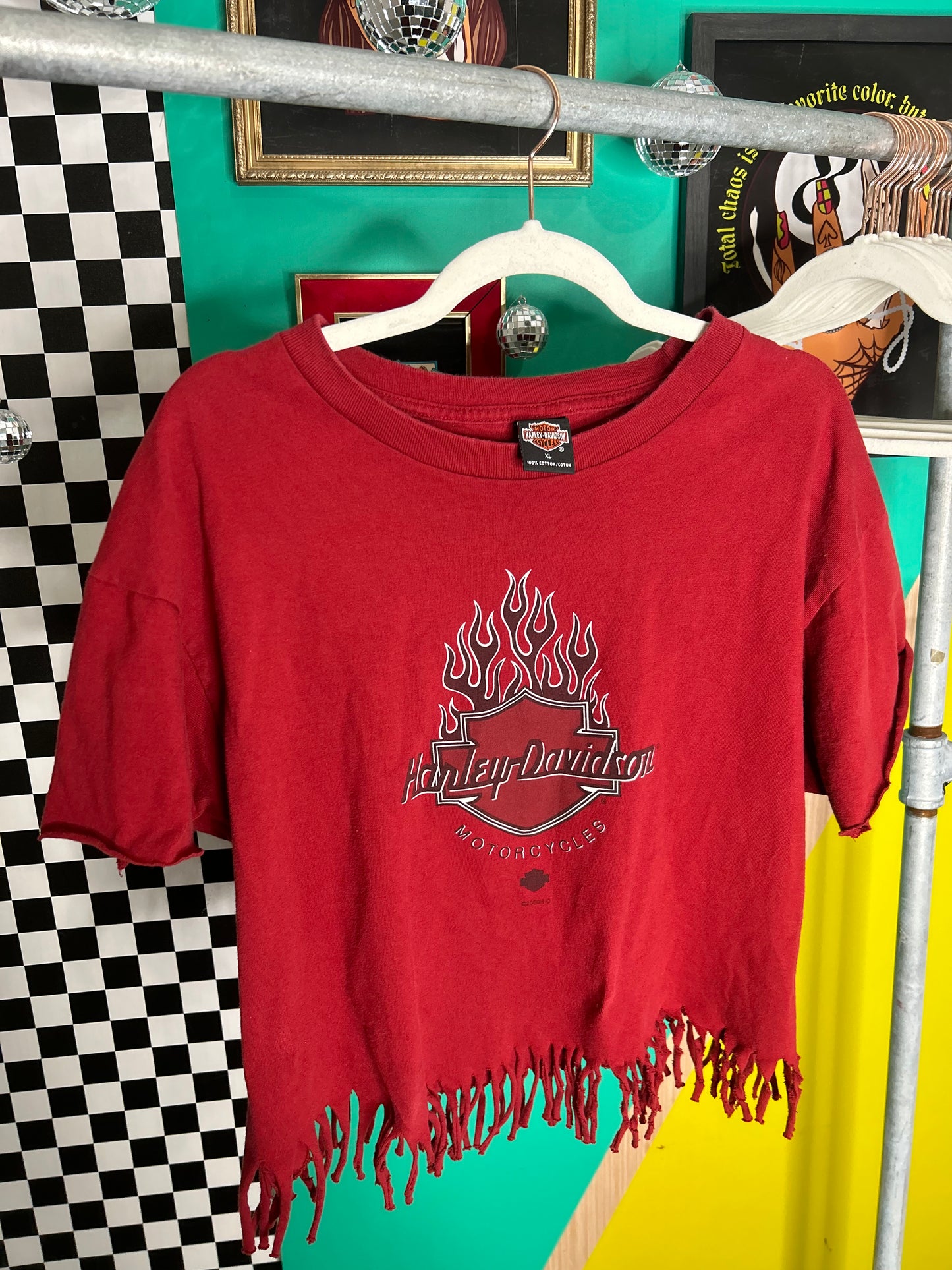 1995 Vintage Fringed Alaska Harley tee-size XL