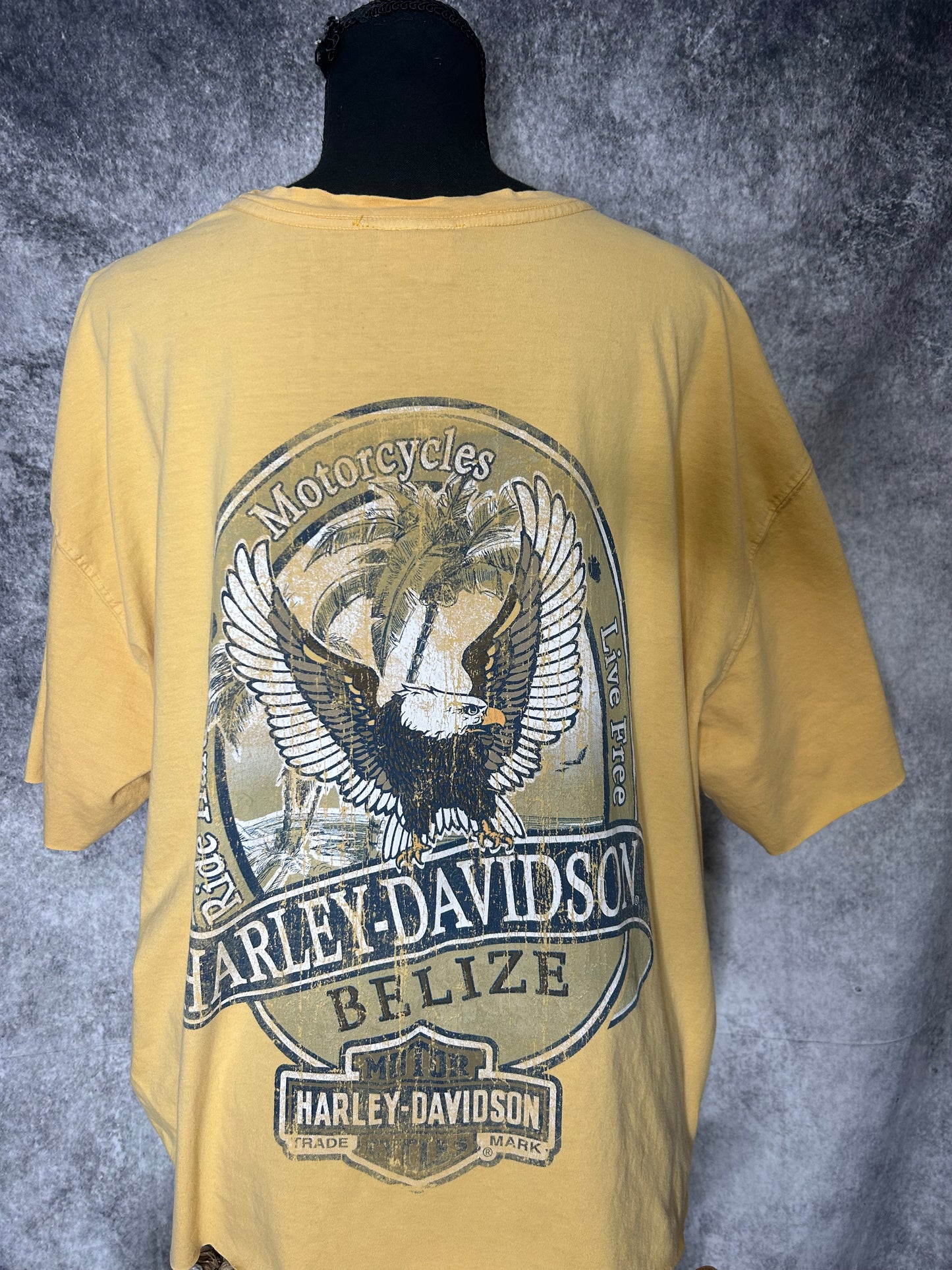 Belize Harley Davidson tee-size 2x