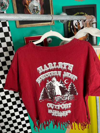 1995 Vintage Fringed Alaska Harley tee-size XL