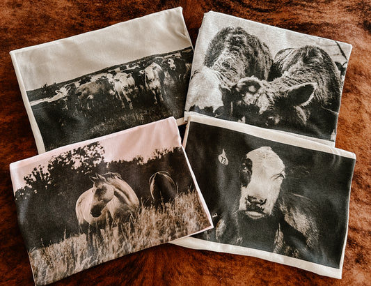 Branded photography tees
