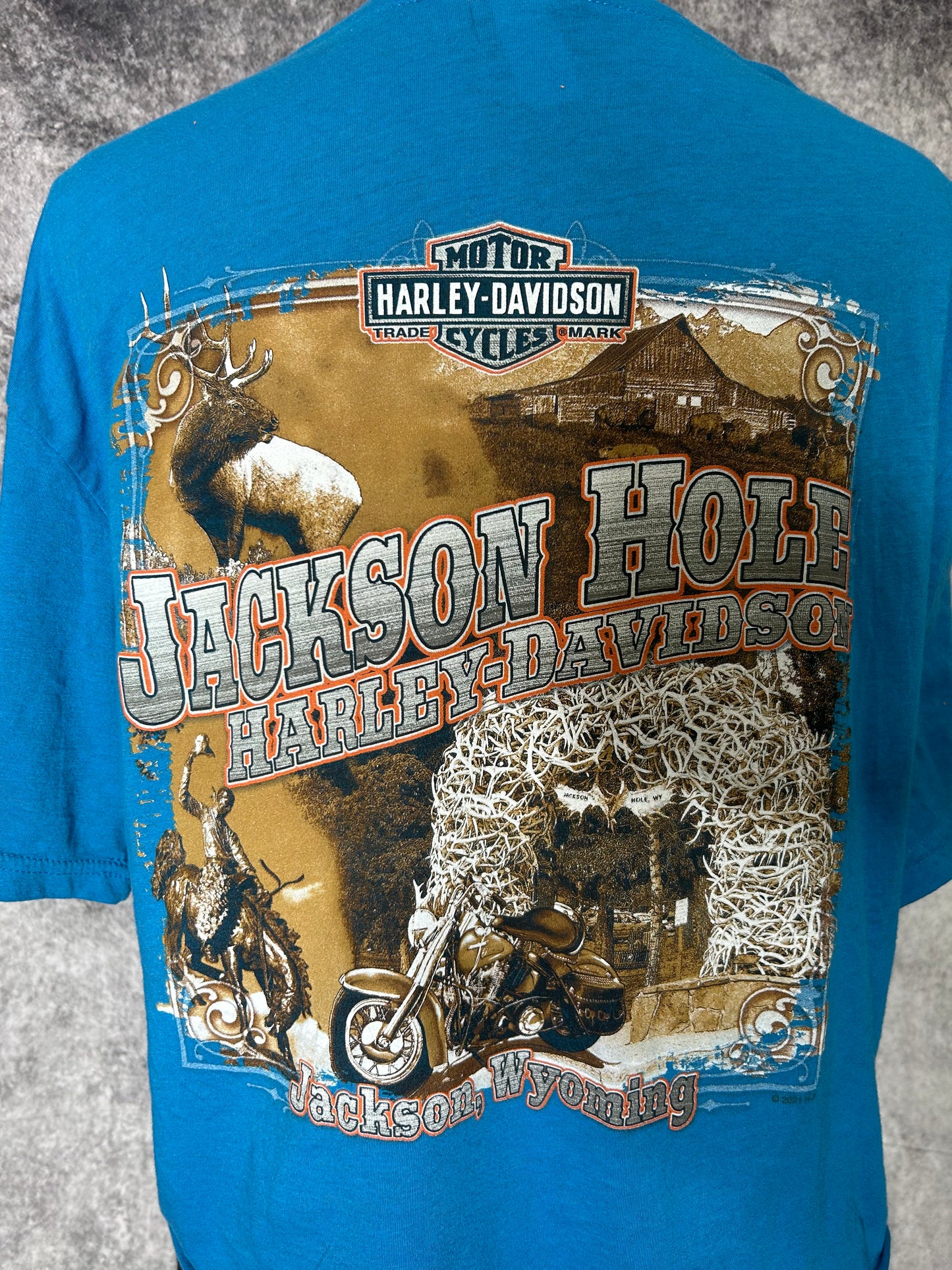 2021 Jackson hole cropped tee-size large