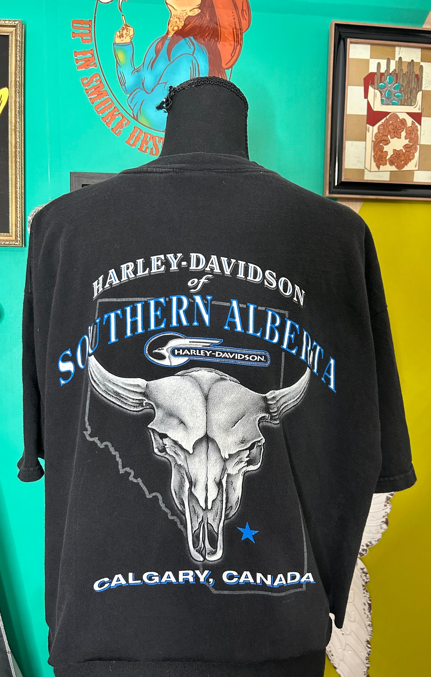 Vintage 1998-Alberta Cananda cropped tee-size Xl
