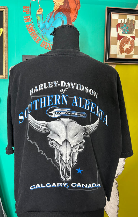 Vintage 1998-Alberta Cananda cropped tee-size Xl