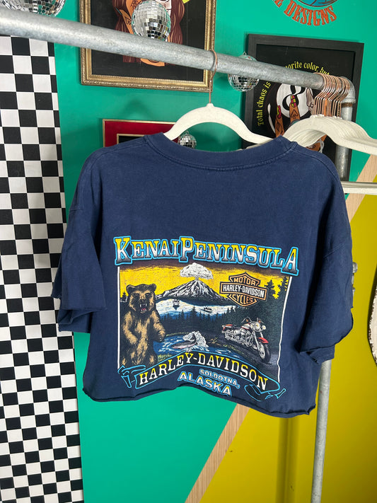 Vintage 1998 Harley Alaska cropped tee-XL