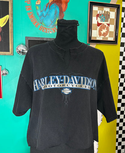 Vintage 1998-Alberta Cananda cropped tee-size Xl