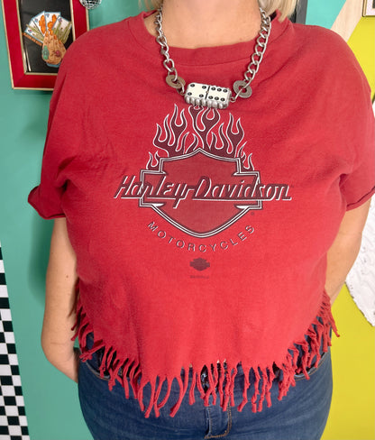 1995 Vintage Fringed Alaska Harley tee-size XL