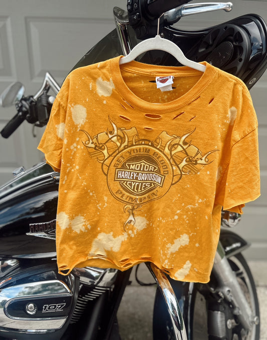 2010 Harley Somerset, PA -Get Your Blood Pumpin cropped tee-size large